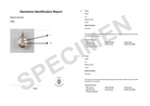 A specimen gem certificate