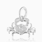 Product title: Cancer Silver Charm, product type: Charm