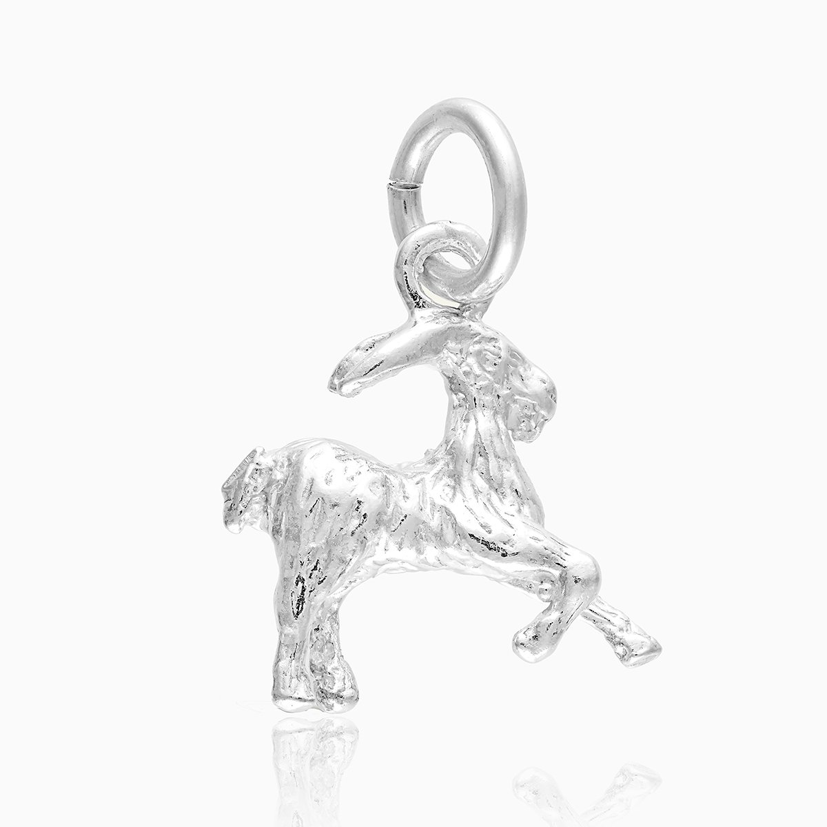 Product title: Capricorn Silver Charm, product type: Charm