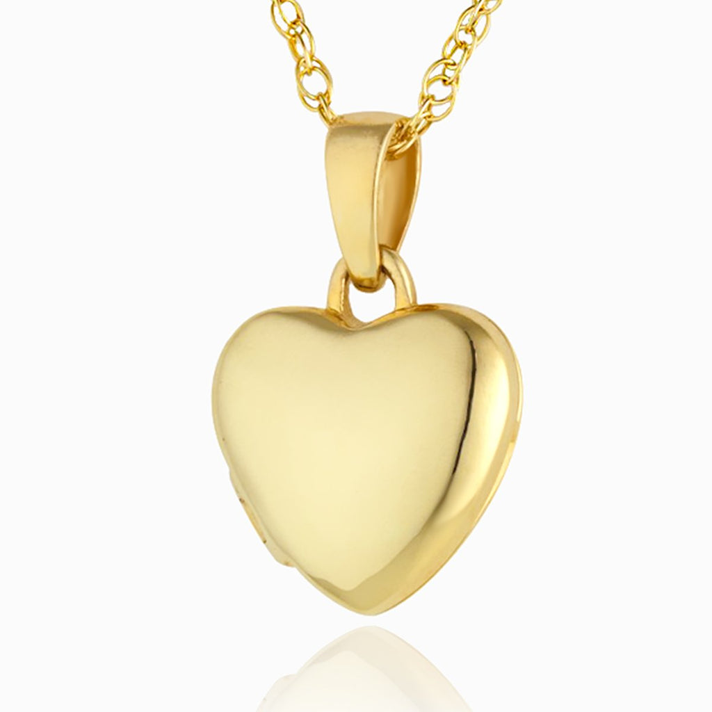 Petite 9 ct gold heart locket on 9 ct gold rope chain
